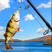 Addictive Angling -  Free Games